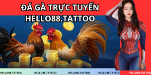 ĐÁ GÀ TRỰC TUYẾN HELLO88.TATTOO